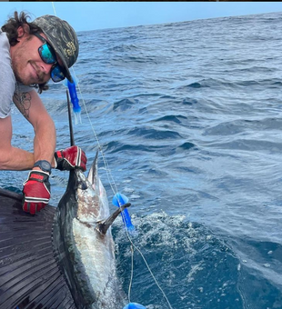 Challenging Sailfish Catch In Florida Waters